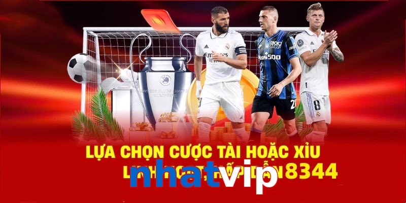 Danh mục đa dạng, đoán chuẩn là nhận tiền