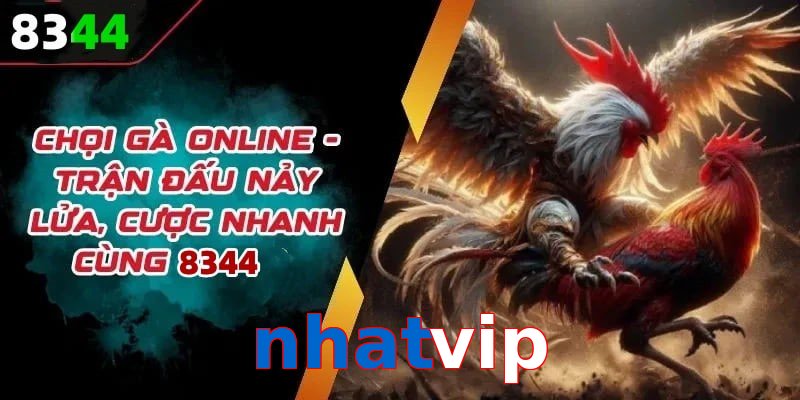 Đá gà nhatvip có rất nhiều ưu điểm vượt trội so với sân chơi khác